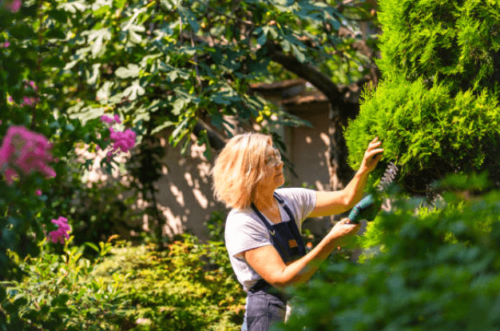 woman caring for trees landscaping ideas for women